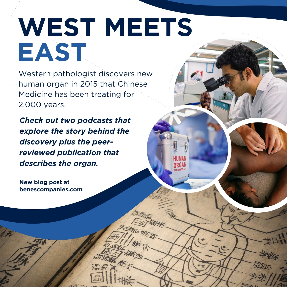 Western Medicine Confirms Eastern Medicine