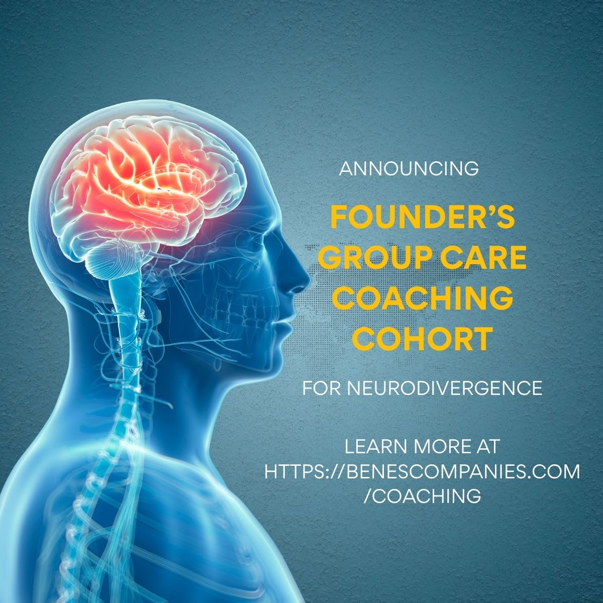 Group Care Coaching Cohort for Neurodivergence with Founders Sale